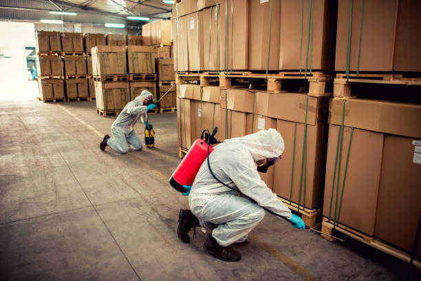 Best Residential Pest Control  in Greenville, OH