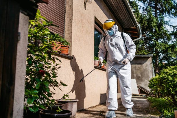 Wasp Removal Services in Greenville, OH