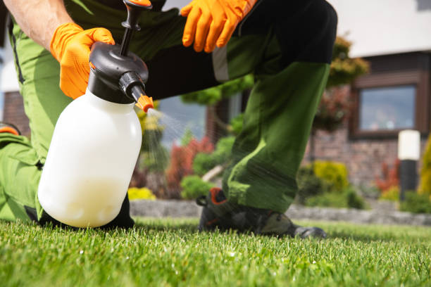 Best Bird Control  in Greenville, OH