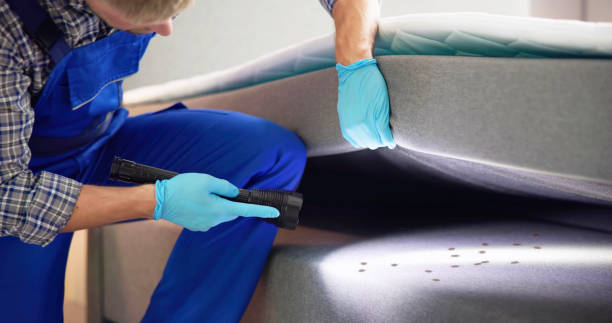 Best Residential Pest Control  in Greenville, OH