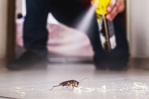 Best Insect Control  in Greenville, OH