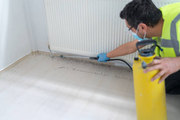 Pest Control for Restaurants in Greenville, OH