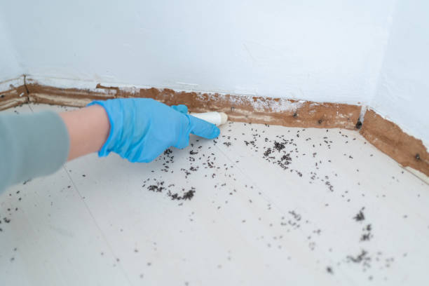 Pest Control Cost in Greenville, OH