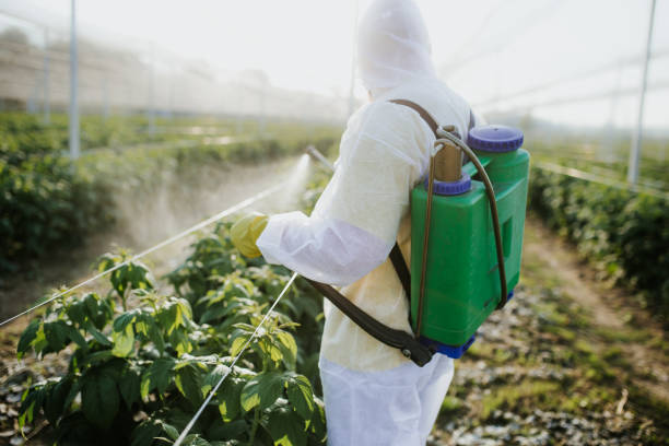 Best Best Pest Control Companies  in Greenville, OH